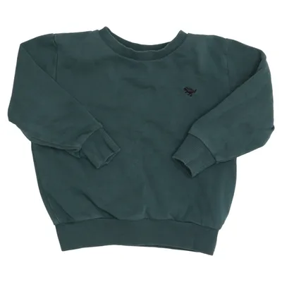 Sweatshirt (Vert) de Next Coton, Polyester