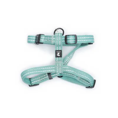 Kattsele (Turkos) från Feel Active