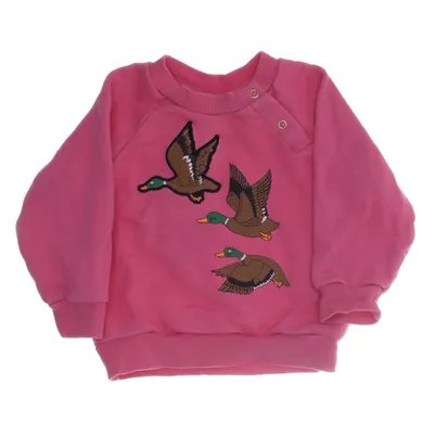 Sweatshirt (Roze, Meerkleurig) van Mini Rodini Organisch katoen