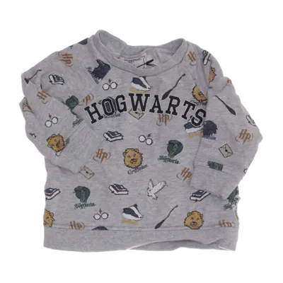 Collegetröja (Grå, Flerfärgad) från Harry Potter x H&M Bomull