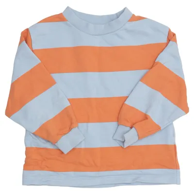 Sweatshirt (Blue, Orange) from Arket Cotton