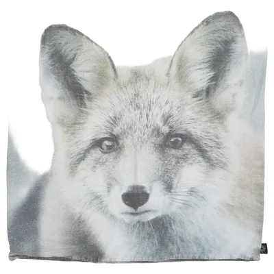 Kuddfodral (Grå, Flerfärgad) från By Nord Bomull