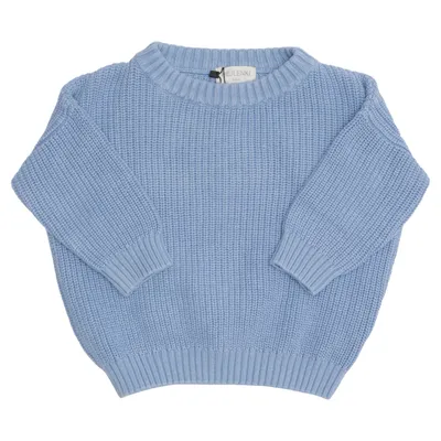 Tröja (Blå) från HEJLENKI Bomull