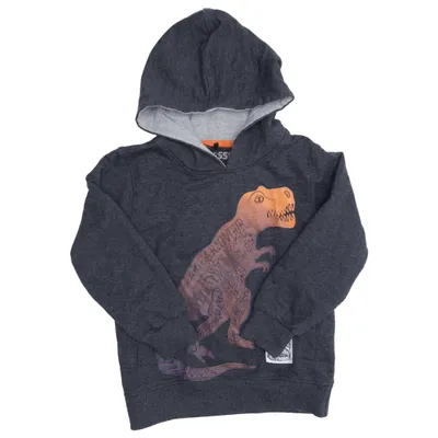 Hoodie (Gray, Multicolored) from Gassa Cotton, Polyester