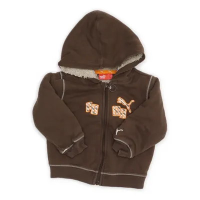 Hoodie (Brown) from Puma Cotton, Polyester