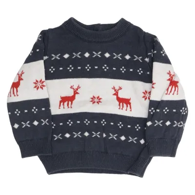 Kersttrui (Blauw, Wit, Rood) van Mori Organisch katoen