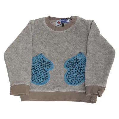 Collegetröja (Grå, Blå) från Molo