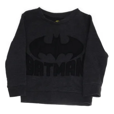 Sweatshirt (Grijs) van DC Comics Katoen, Polyester
