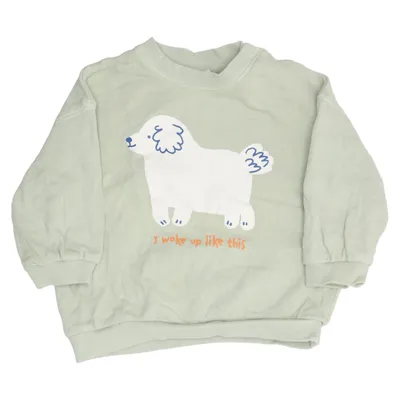 Sweatshirt (Green) from H&M Cotton