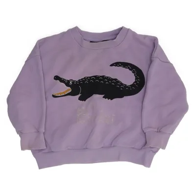 Collegetröja (Lila) från Mini Rodini