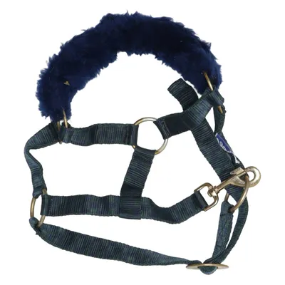 Halter (Blue, Green) from Börjes