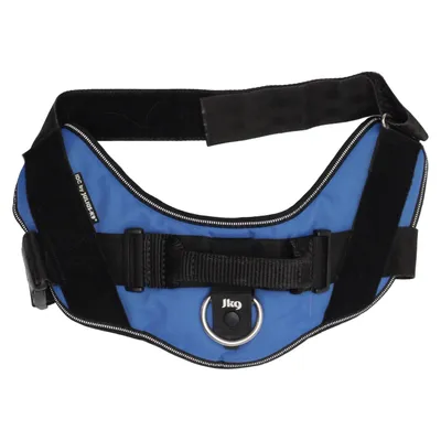 Harnais pour chien (Idc) de Julius K9