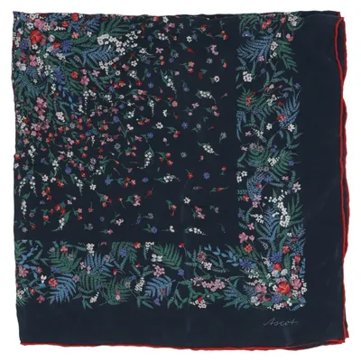 Cache-col (Bleu, Multicolore) de Ascot