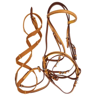 Rênes (Marron, Beige)