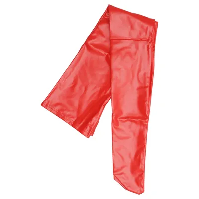 Kostuum accessoires (Rood)