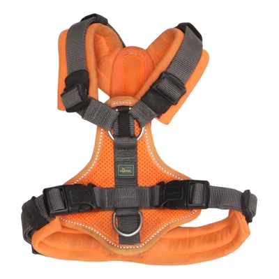 Hundsele (Orange, Grå) från Hunter