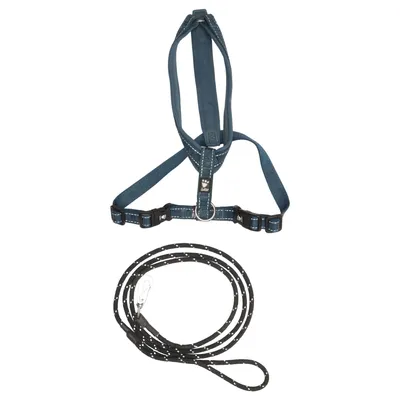 Hundsele (Blå, Svart) från Hurtta