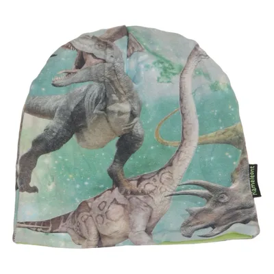Beanie (Green, Multicolored) from Kameleont Design