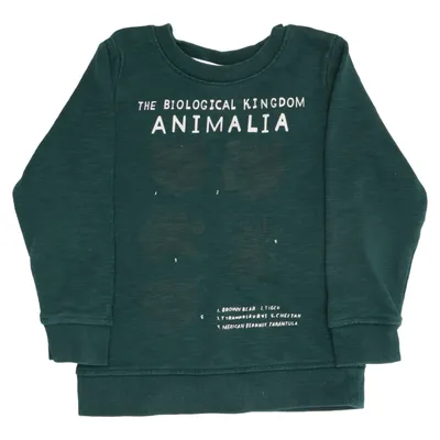 Sweatshirt (Groen, Meerkleurig) van Kelzuki x H&M Katoen, Polyester