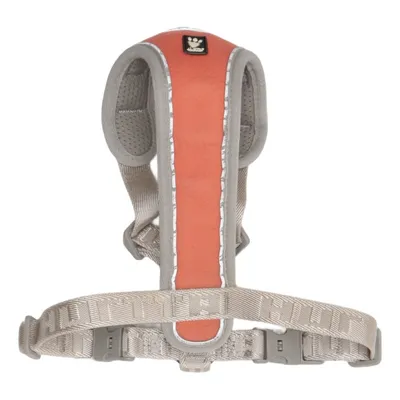 Hundsele (Grå, Röd) från Hurtta