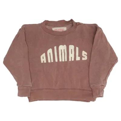 Sweatshirt (Marron) de The Animals Observatory Coton