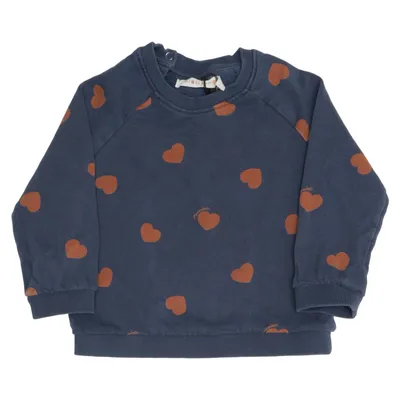 Sweatshirt (Blauw, Bruin, Meerkleurig) van Mini Rodini Katoen