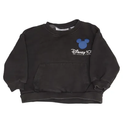 Sweatshirt (Grau) von Zara x Disney