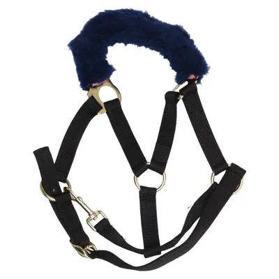 Licol (Noir, Bleu) de Pony