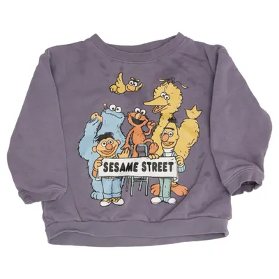 Sweatshirt (Multicolore, Violet) de Sesame Street x H&M Coton, Polyester