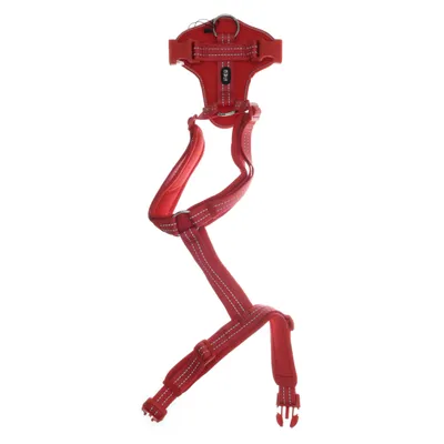 Hundsele (Röd) från Tiki