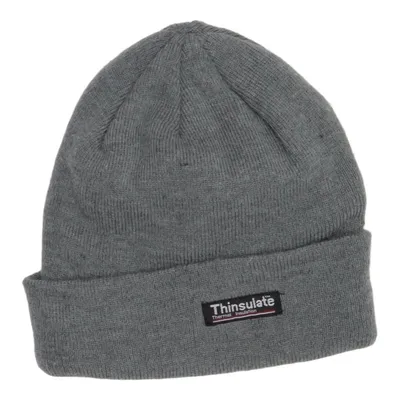 Beanie (Gray) from Thinsulate