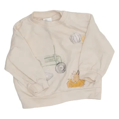 Sweatshirt (Beige) van Alana Organisch katoen