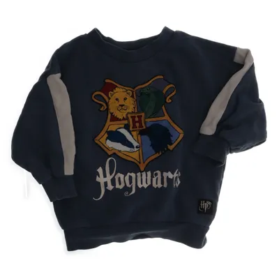 Sweatshirt (Blue, Multicolored) from Harry Potter x H&M Cotton, Polyester