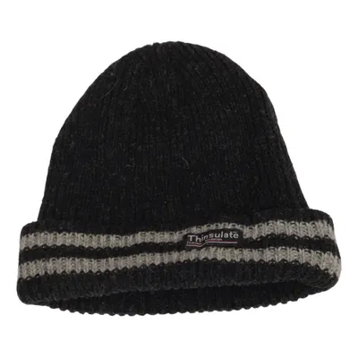 Beanie (Grijs) van Thinsulate