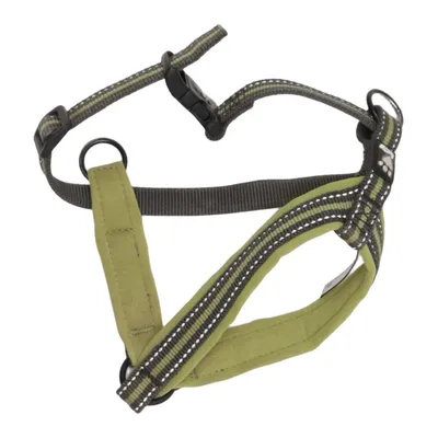 Hundsele (Grön) från Hurtta