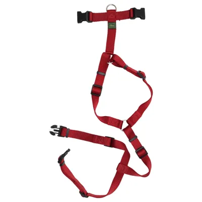 Dog harness (Red) from Hunter