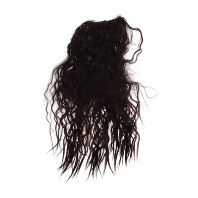 Extensions (Brown)