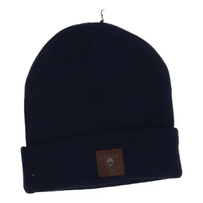 Beanie (Blue) from Cayler & Sons Acrylic