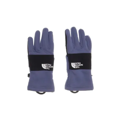 Handschoenen (Blauw) van The North Face