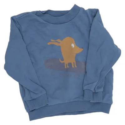 Sweatshirt (Blue) from Liewood Organic cotton