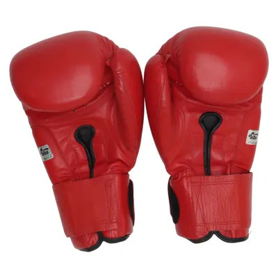 Boxing gloves (Red) from Everlast