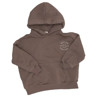 Hoodie (Brown) from Zara Cotton, Polyester