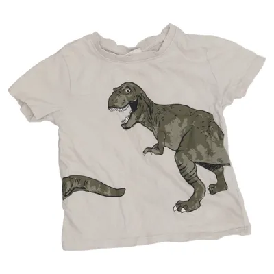 T-shirt (Beige, Grön) från KappAhl Bomull