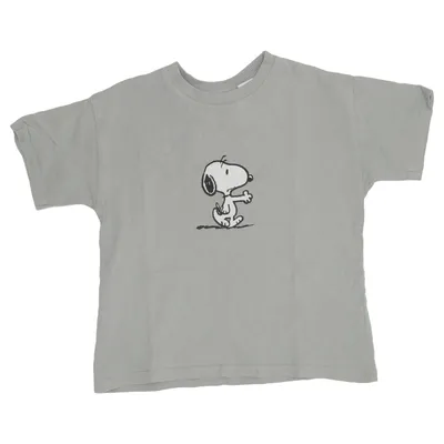 T-shirt (Gris) de Zara x Peanuts