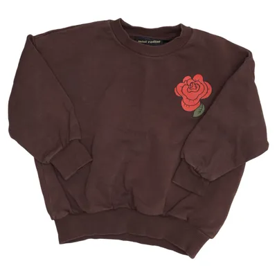 Sweatshirt (Brown) from Mini Rodini Cotton