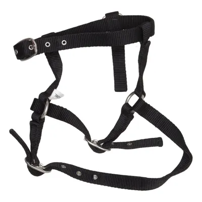 Dog harness (Black)
