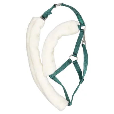 Halster (Groen, Wit) van Fairfield