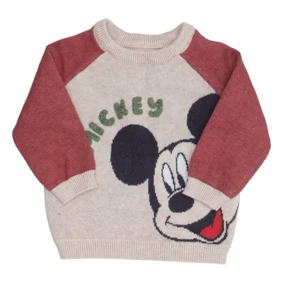Tröja (Beige, Brun) från Disney Polyamid, Polyester, Viskos