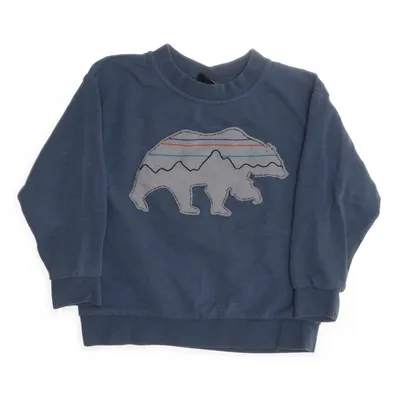 Collegetröja (Blå) från Patagonia