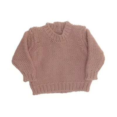 Trui (Roze) van Mini Mize Katoen
